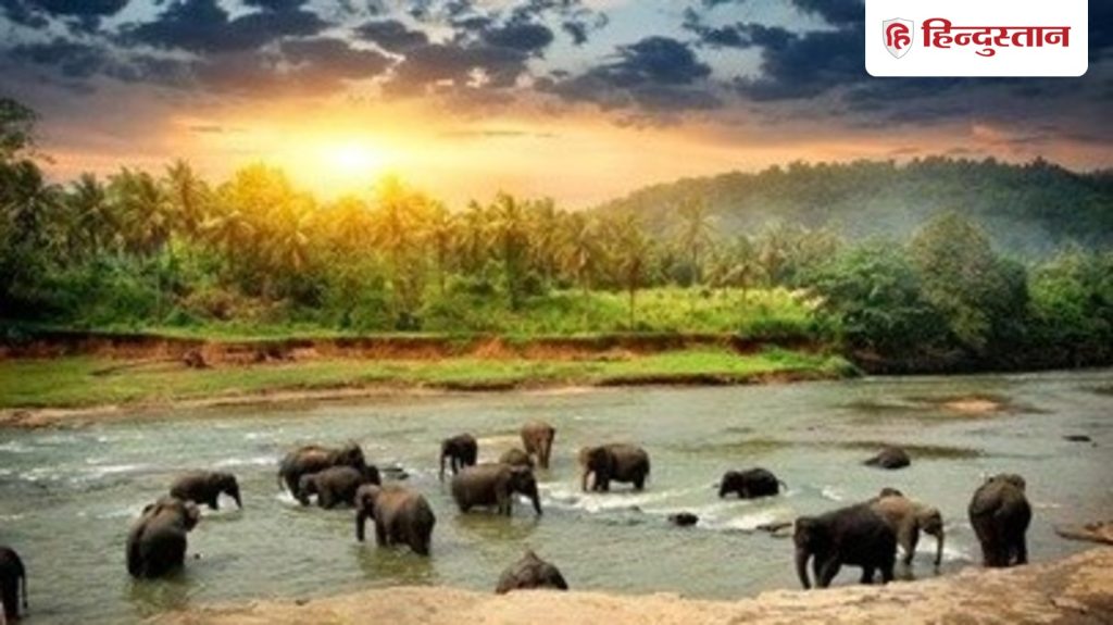 इस पड़ोसी देश में घूमने पहुंचे पांच लाख से ज्यादा भारतीय, पिछली बार से 15 फीसदी...