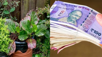 પોસ્ટ્સ