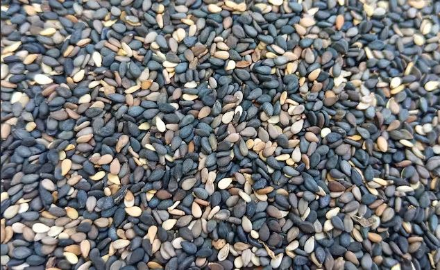 શ્રાદ્ધથી લઈને તર્પણ સુધી હિંદુ ધર્મની દરેક વિધિ તલ વગર અધૂરી કેમ ગણાય છે? श्राद्ध से तर्पण तक, तिल के बिना क्यों अधूरा माना जाता है हिंदू धर्म का हर...