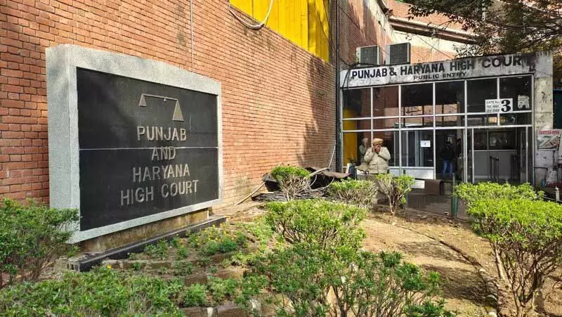 ગુમ થયેલા સરૂપ કેસમાં SGPCના 3 ભૂતપૂર્વ કર્મચારીઓને વચગાળાના જામીન મળ્યા છે लापता सरूप मामले में SGPC के 3 पूर्व कर्मचारियों को अंतरिम जमानत मिली