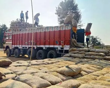 ડાંગર ઉપાડવામાં જિલ્લાએ દાખલો બેસાડ્યો, કાર્યક્ષમ વ્યવસ્થાપનને કારણે 4.27 લાખ ક્વિન્ટલનો સમયસર પાક લેવામાં આવ્યો… धान उठाव में जिले ने पेश की मिसाल, कुशल प्रबंधन से 4.27 लाख क्विंटल का समय पर...