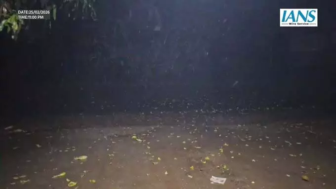 ડિંડીગુલ અને પ્રવાસન સ્થળોમાં એક કલાક સુધી ભારે વરસાદ અને ભારે પવન… एक घंटे से भारी बारिश और तेज़ हवाओं के साथ दिंदिगुल और पर्यटन स्थलों में...