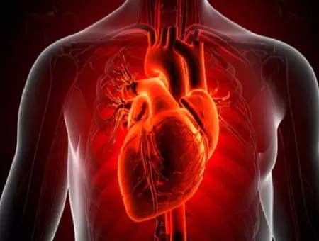 કસરતથી લઈને પૂરતી ઊંઘ સુધી, આ 6 સરળ આદતોથી તમારા હૃદયને સુરક્ષિત અને મજબૂત રાખો. व्यायाम से पूरी नींद तक, इन 6 आसान आदतों से रखें हृदय को सुरक्षित और मजबूत