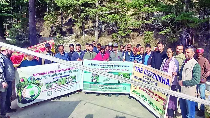 પાલજોતમાં ખેડૂતોને આધુનિક ખેતીની મહત્વની ઘોંઘાટ શીખવી पलजोत में किसानों को आधुनिक खेती की जरूरी बारीकियां सिखाईं