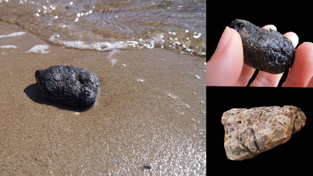 નિકોલમાંથી પોલીસે ૨ કરોડનું સમુદ્રી સોનું (એમ્બરગ્રીસ) ઝડપ્યું