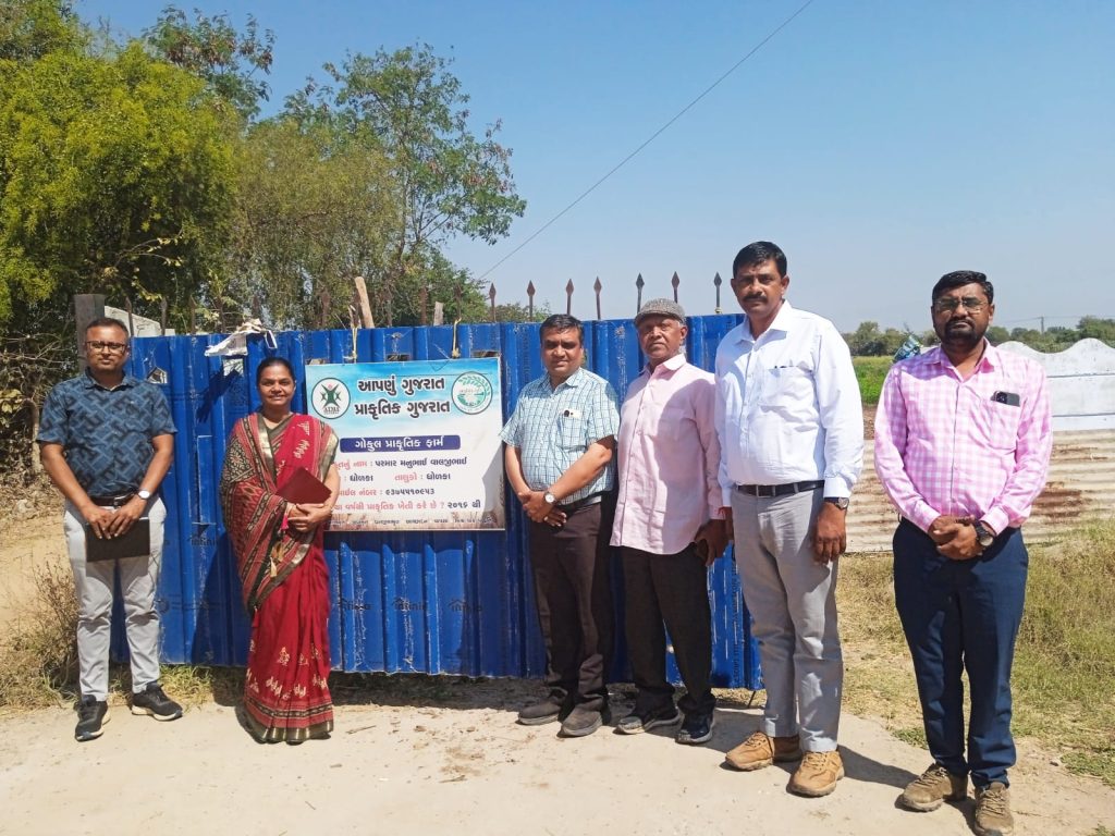 ધોળકાના મોડલ ફાર્મની મુલાકાતમાં પ્રાકૃતિક ઘઉં અને વરિયાળીના પાકોનું...