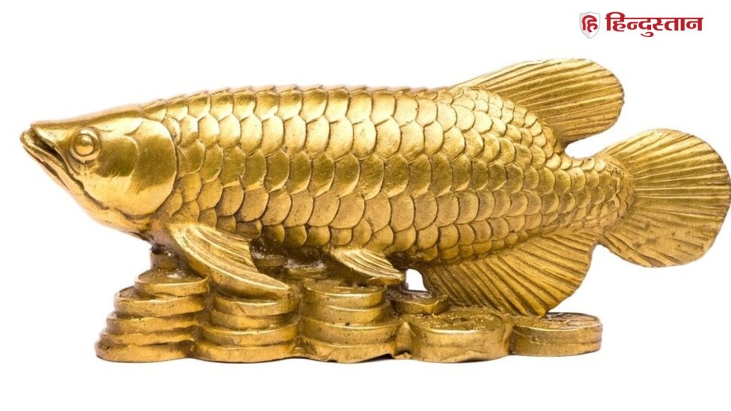 Vastu Tips: घर में इस धातु की रखें मछली की प्रतिमा, धन-वैभव में होगी...