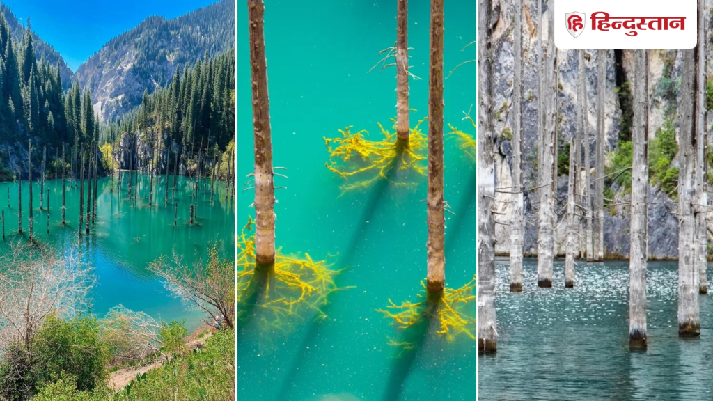 बर्फीले पानी से झांकते 'भूतिया' पेड़ और डूबा जंगल, 115 साल पहले क्या हुआ...