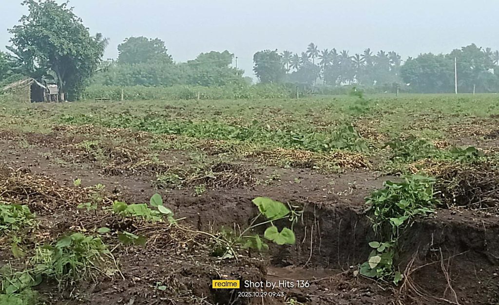 હરિજના રોડા ગામે સોલાર કંપનીની બેદરકારી બાદ ખેડૂતને ન્યાય