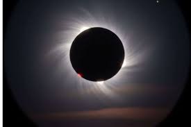 પોસ્ટ્સ