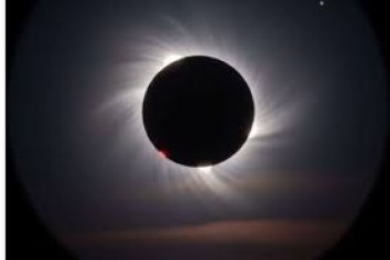 પોસ્ટ્સ