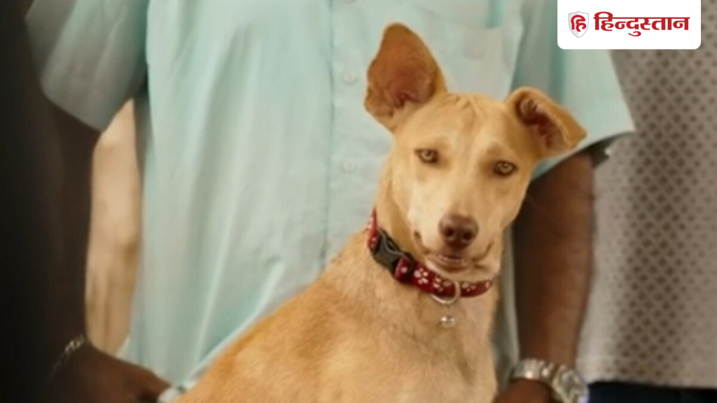 डॉग लवर्स के लिए मस्ट है मलयालम की ये फिल्म, बॉक्स ऑफिस पर थी सुपरहिट