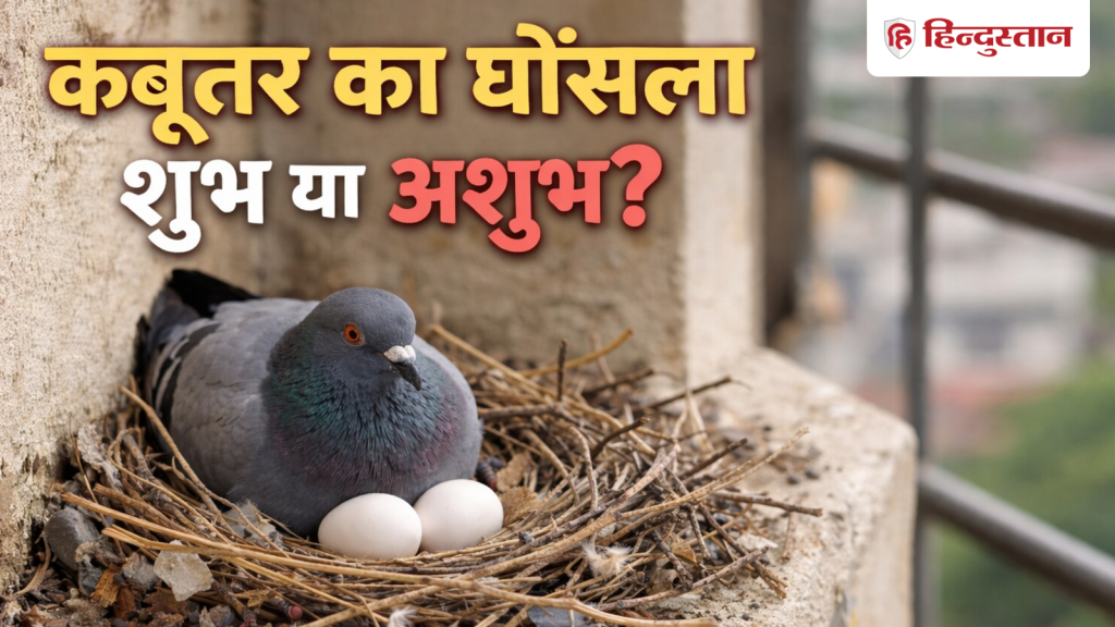 Vastu Shastra: घर में कबूतर का घोंसला बनना क्या देता है संकेत? जानें नुकसान और आसान से...