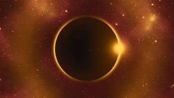 પોસ્ટ્સ