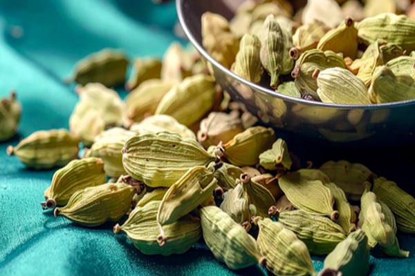 ઉનાળામાં ઈલાયચી કોઈ વરદાનથી ઓછી નથી, તે ગળાના ખરાશથી લઈને મોઢાના ચાંદામાં રાહત આપે છે. गर्मियों में वरदान से कम नहीं इलायची, गले की खराश से लेकर मुंह के छाले तक में दे राहत