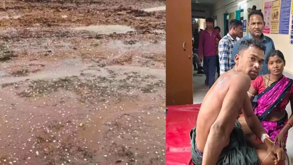 કમોસમી વરસાદ, કરા અને વીજળીના કારણે યુવાન દાઝી ગયો बेमौसम बारिश और ओले, आकाशीय बिजली गिरने से युवक झुलसा