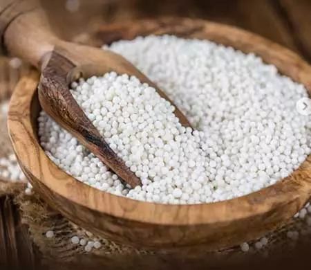 નવરાત્રી સ્પેશિયલ: હળવો, પૌષ્ટિક અને થાક દૂર કરનાર આહાર ‘સાગો’ नवरात्रि विशेष: हल्का, पौष्टिक और थकान दूर करने वाला आहार 'साबूदाना