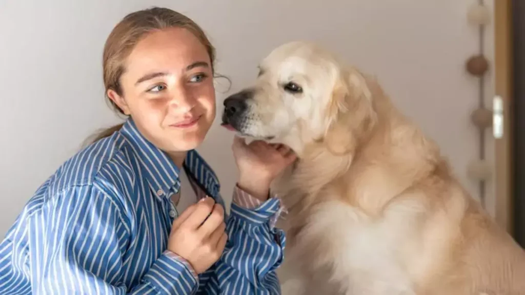 संकेत जो साबित करते हैं कि आपका पालतू कुत्ता वास्तव में आपको पसंद करता है