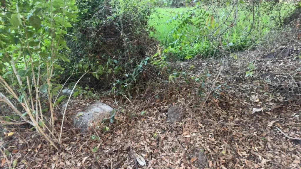 Telangana: तेलंगाना में 70 से ज़्यादा संरक्षित स्मारक गायब हो गए