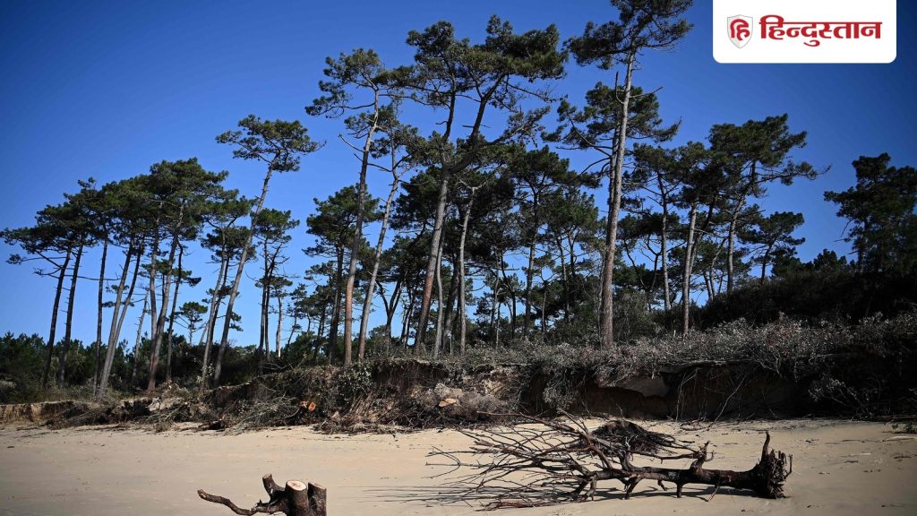 બરફનું તોફાન, મજબૂત પવન અને ટોર્નેડો ચેતવણી; અમેરિકામાં હવામાનનો બેવડો હુમલો बर्फीला तूफान, तेज हवाएं और टॉर्नेडो का अलर्ट; अमेरिका में मौसम का डबल अटैक