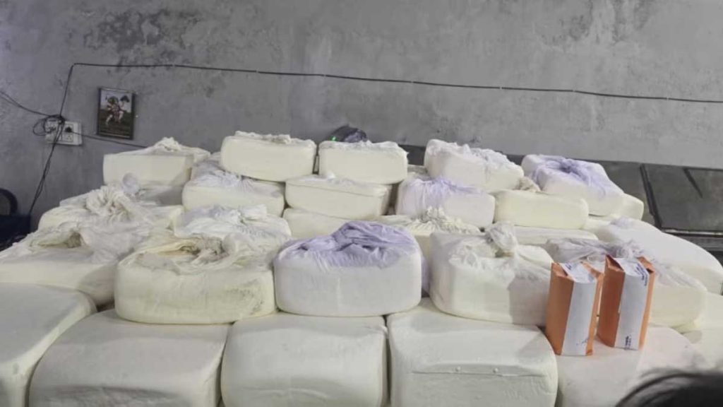 સુરતમાં નકલી પનીર બનાવતું કારખાનું ઝડપાયું