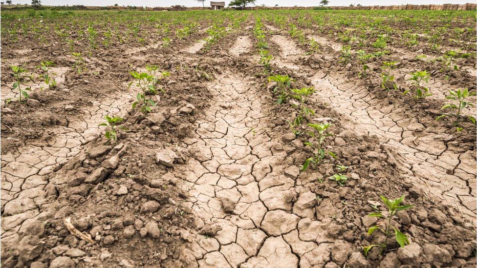 ગુજરાતના સાત જિલ્લામાં ૧૬૩૫૨ જમીન બિન ખેતી ગુજરાતના સાત જિલ્લામાં ૧૬૩૫૨ જમીન ‘બિન ખેતી’