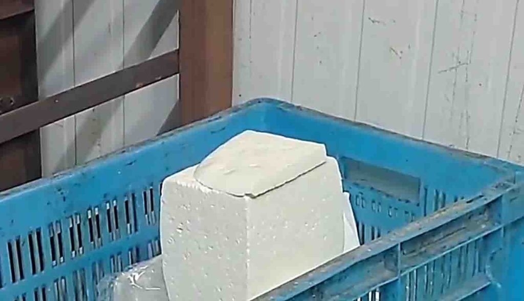 પામોલીન તેલ ભેળવી ઝેરી પનીર બનાવાતું હતું, સંચાલકની અટકાયત