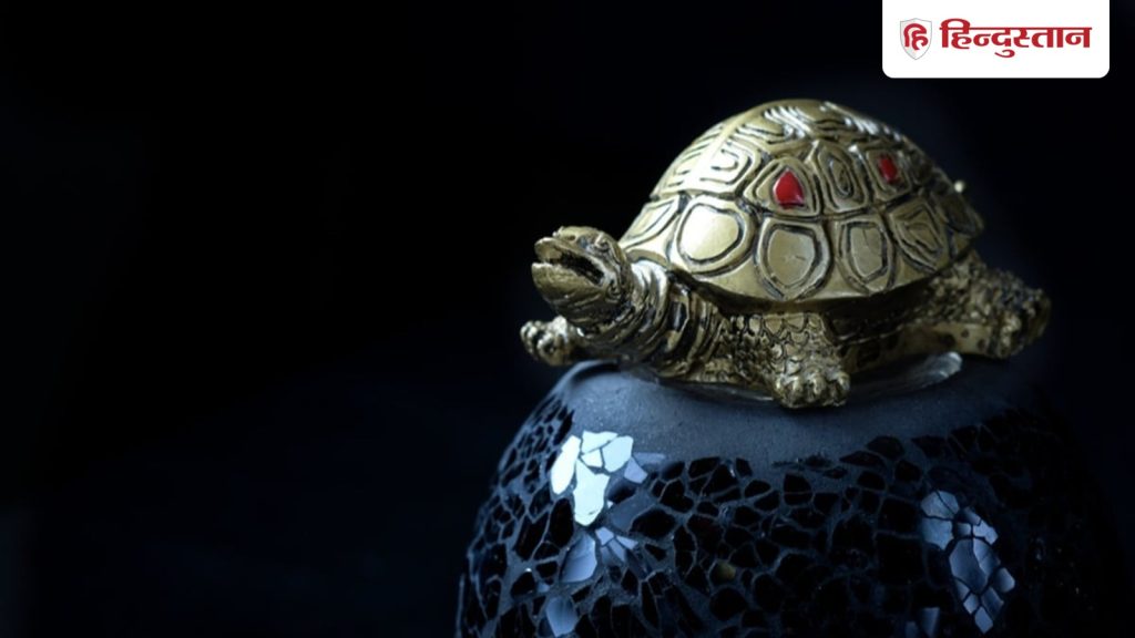 Fengshui Tips: घर में किस धातु का कछुआ रखना होता है शुभ, जानें रखने की सही दिशा