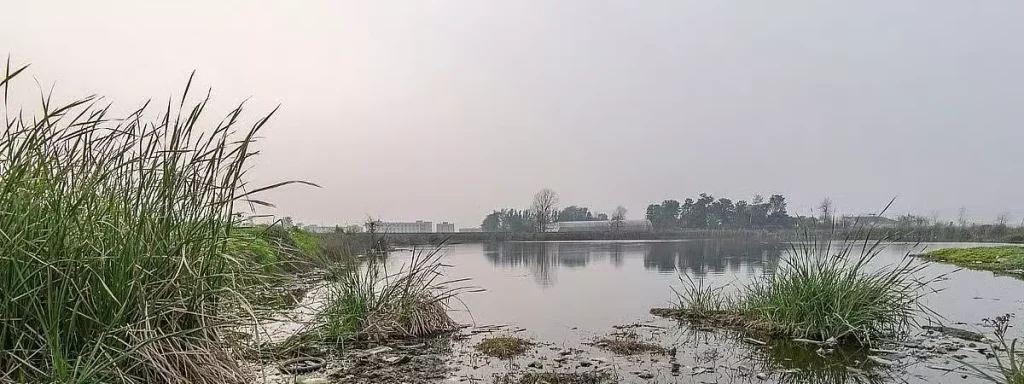 BMCએ મુંબઈમાં ખોવાયેલા કુદરતી તળાવોને ઓળખવા અને તેને પુનર્જીવિત કરવા માટે એક સર્વે શરૂ કર્યો છે. BMC ने मुंबई में खो चुके कुदरती तालाबों की पहचान और पुनर्जीवन के लिए सर्वे का...