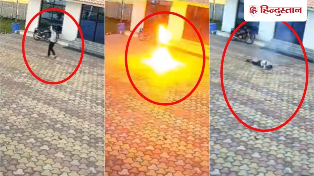 बंदर भगाते समय गलती पड़ी भारी, एक झटके में हो गई मौत; MP से सामने आया खतरनाक...