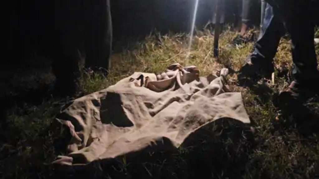 માતાની નજર સામે સિંહે બાળકીને ઘરમાંથી ઉપાડી જઈ ફાડી ખાધી