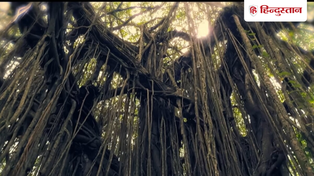 बेहद डराने वाली है 3 एपिसोड की ये डॉक्यूमेंट्री, उड़ जाएगी नींद, 7.4 है IMDb रेटिंग