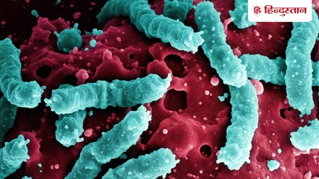 सावधान! यहां मिले खतरनाक 'मांसभक्षी' बैक्टीरिया, 48 घंटे में इंसान और...