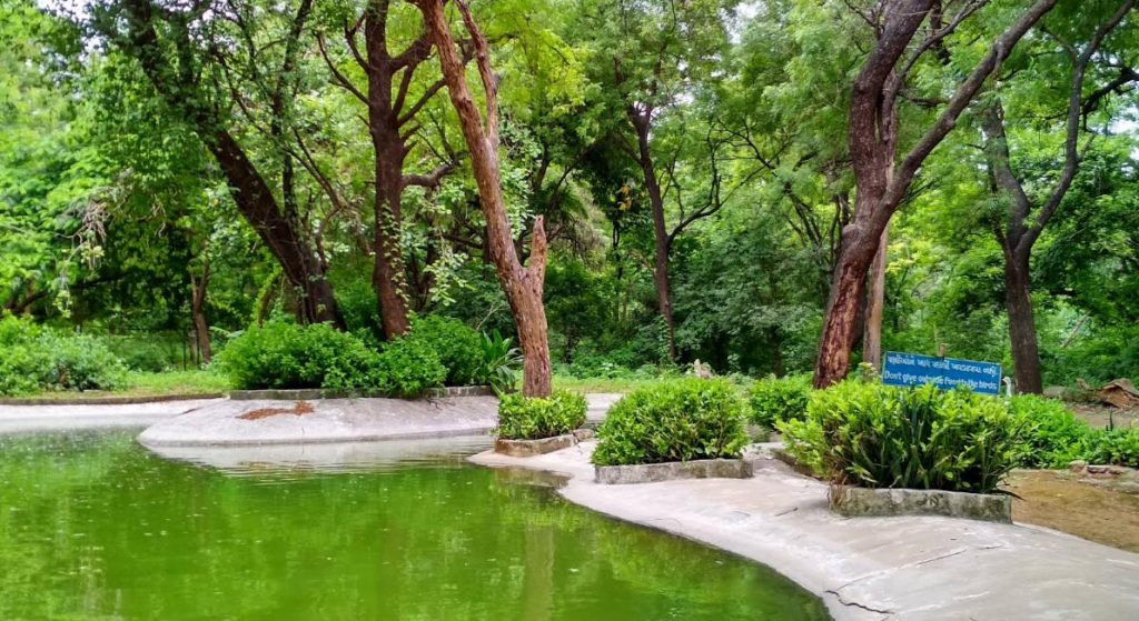 ‘ઇન્દ્રોડા પ્રકૃતિ ઉદ્યાન’માં વન્યજીવોને હીટ સ્ટ્રોકથી બચાવવા ૧૫ જમ્બો...