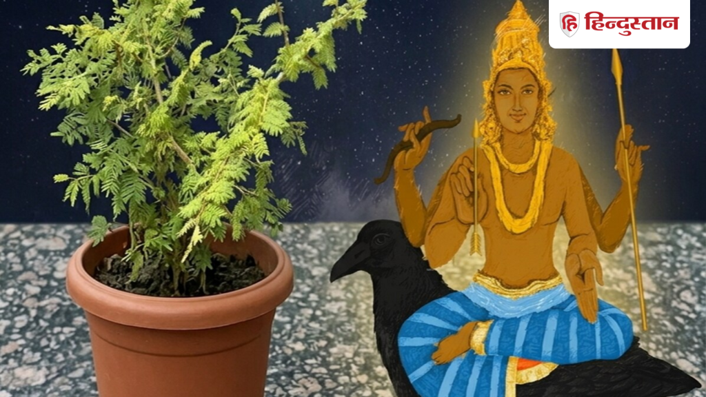 Shani Jayanti: शमी के पौधे से जुड़े इस उपाय से दूर होंगी सारी परेशानियां, चमकेगी...