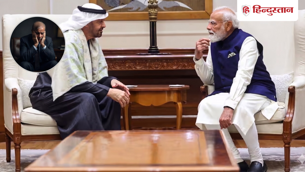 कर्ज वापस लिया, कर्मचारियों को निकाला; पाकिस्तान से इतना खफा क्यों UAE? भारत...
