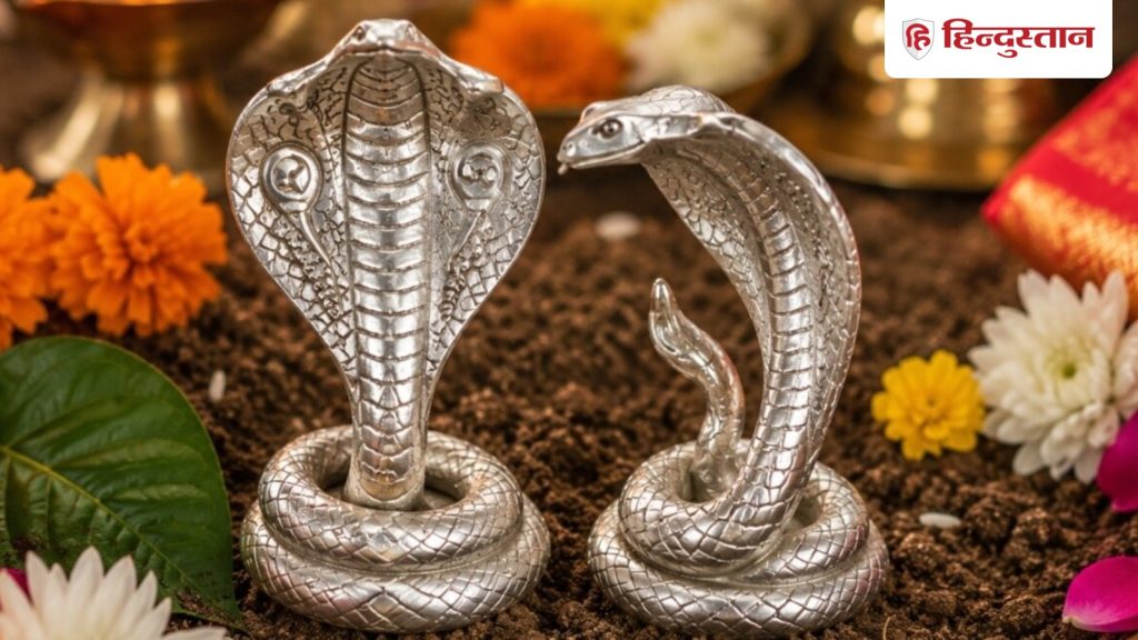 घर की नींव में क्यों दबाए जाते हैं चांदी के नाग-नागिन? नहीं किया हो ये उपाय...