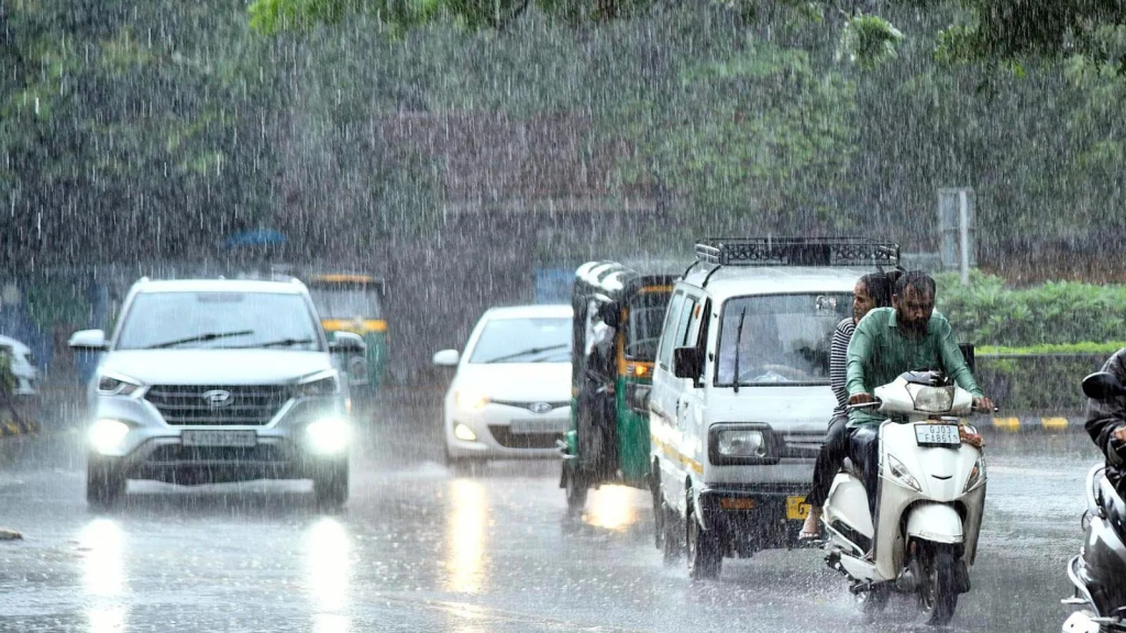Gujarat Latest: ગુજરાત લેટેસ્ટ - Newz Cafe