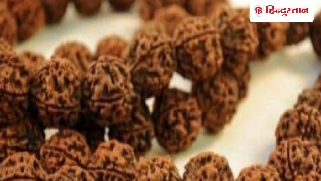 कैसा रुद्राक्ष  नहीं पहनना चाहिए? रुद्राक्ष को पहनने के नियम क्या हैं?