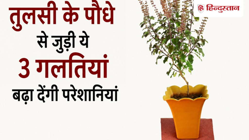 घर में तुलसी का पौधा रखते समय ना करें ये 3 गलतियां, वरना बढ़ जाएंगी परेशानियां