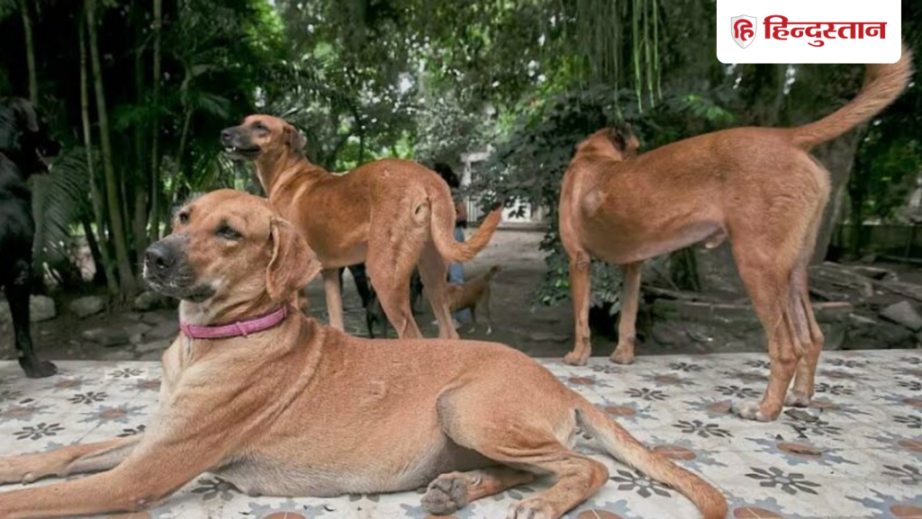 आवारा कुत्ते को लेकर भिड़े दो देश, एक देना चाहता नोट पर जगह, दूसरे ने बनाया...