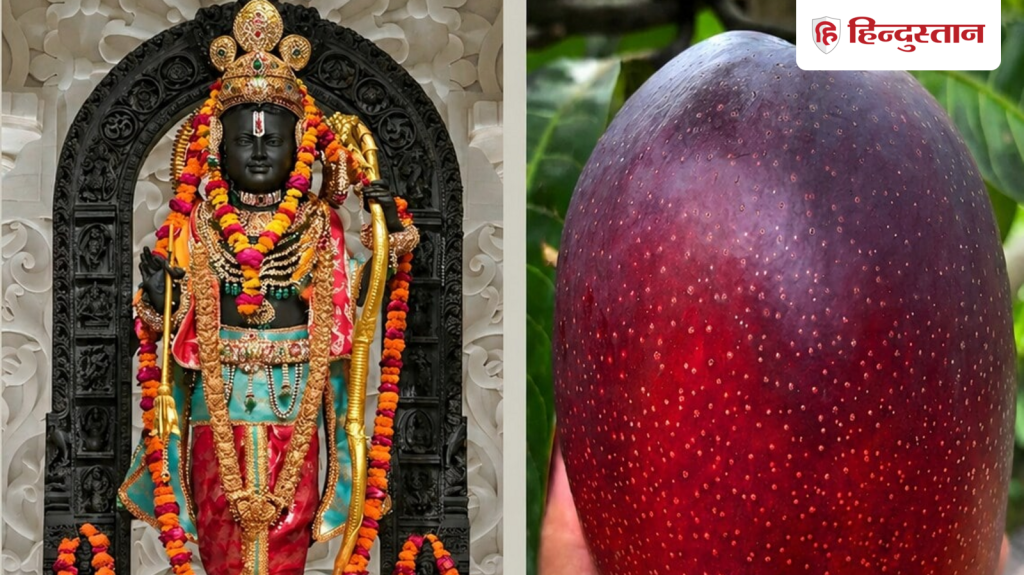 અયોધ્યામાં રામલલાએ ખાધી દુનિયાની સૌથી મોંઘી કેરી, તેની કિંમત લાખોમાં… अयोध्या में रामलला को लगा दुनिया के सबसे महंगे आम का भोग, लाखों में है इसकी...