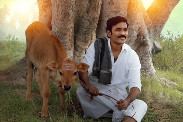 સામાન્ય ચહેરામાં અસાધારણ પ્રતિભાનું નામ ધનુષ; અભિનયની સાથે લેખક, ગાયક અને દિગ્દર્શક તરીકેની છાપ છોડી
