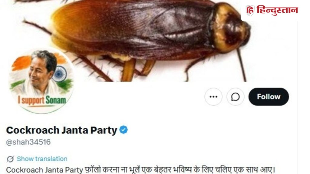 હકીકત તપાસ: CJPનું સત્તાવાર X હેન્ડલ શું છે? ફેક એકાઉન્ટથી વંદોની સંખ્યામાં વધારો… Fact Check: सीजेपी का ऑफिशियल एक्स हैंडल क्या है? फेक अकाउंट ने कॉकरोचों की बढ़ाई...