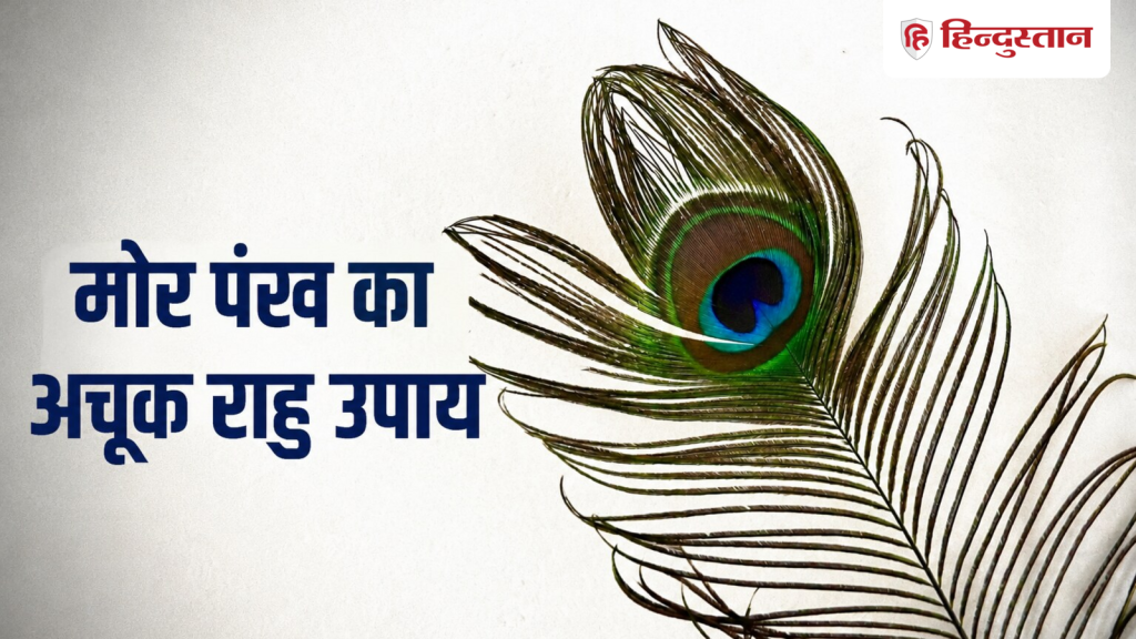 શું તમે પણ રાહુની મહાદશાથી પરેશાન છો? મોરના પીંછાના આ ઉપાયથી દૂર થશે તમામ સમસ્યાઓ… क्या आप भी राहु की महादशा से हैं परेशान? मोर पंख के इस उपाय से दूर होंगी सारी...