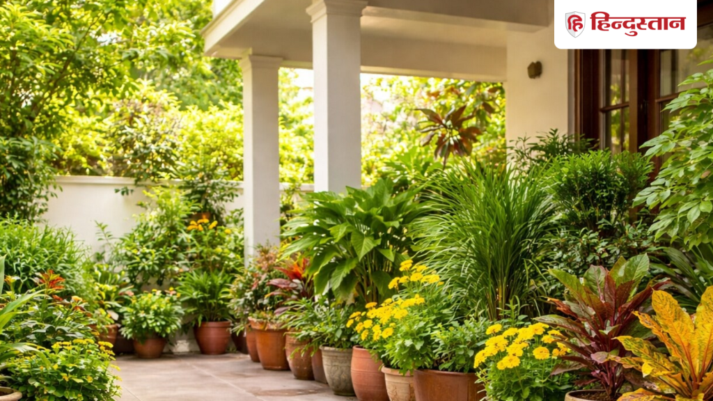 Vastu tips: धन वैभव की कमी है तो कौन सा पौधा लगाएं, वास्तु के अनुसार जानें हल