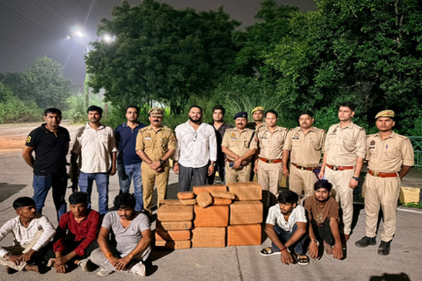 નોઈડા STFએ આંતરરાજ્ય દાણચોરી કરતી ગેંગનો પર્દાફાશ કર્યો, 150 કિલો ગાંજો મળ્યો नोएडा एसटीएफ ने किया अंतरराज्यीय तस्करी गिरोह का भंडाफोड़, 150 किलो गांजा बरामद