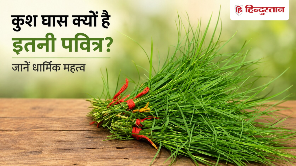 પૂજામાં કુશ ઘાસ કેમ મહત્વનું માનવામાં આવે છે? જાણો તેનું ધાર્મિક મહત્વ पूजा-पाठ में क्यों जरूरी मानी जाती है कुश घास? जानें इसका धार्मिक महत्व
