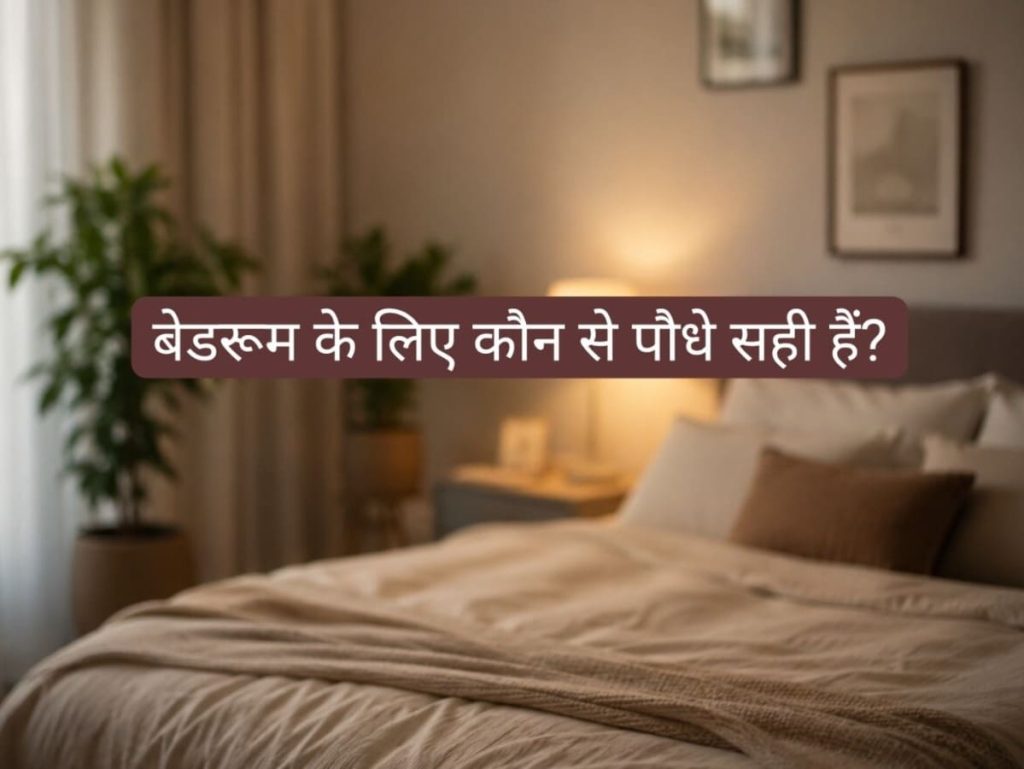 Vastu Tips: बेडरूम में कौन से पौधे लगाने...