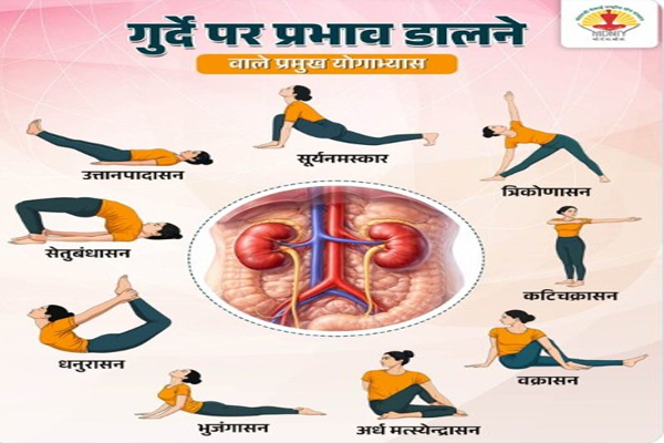 આ યોગ કસરતો કિડનીના સ્વાસ્થ્ય માટે વરદાન છે, જાણો તેને કરવાની સાચી રીત गुर्दे की सेहत के लिए वरदान हैं ये योगाभ्यास, जानें करने का सही तरीका